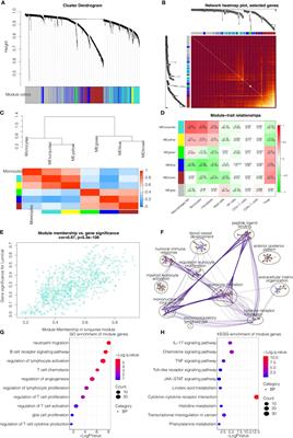 The Predictive Value of Monocytes in Immune Microenvironment and Prognosis of Glioma Patients Based on Machine Learning